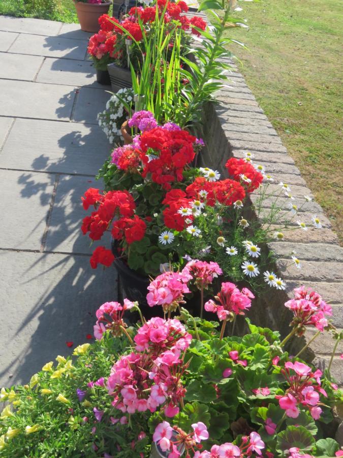 Little Orchard Apartment เยท ภายนอก รูปภาพ