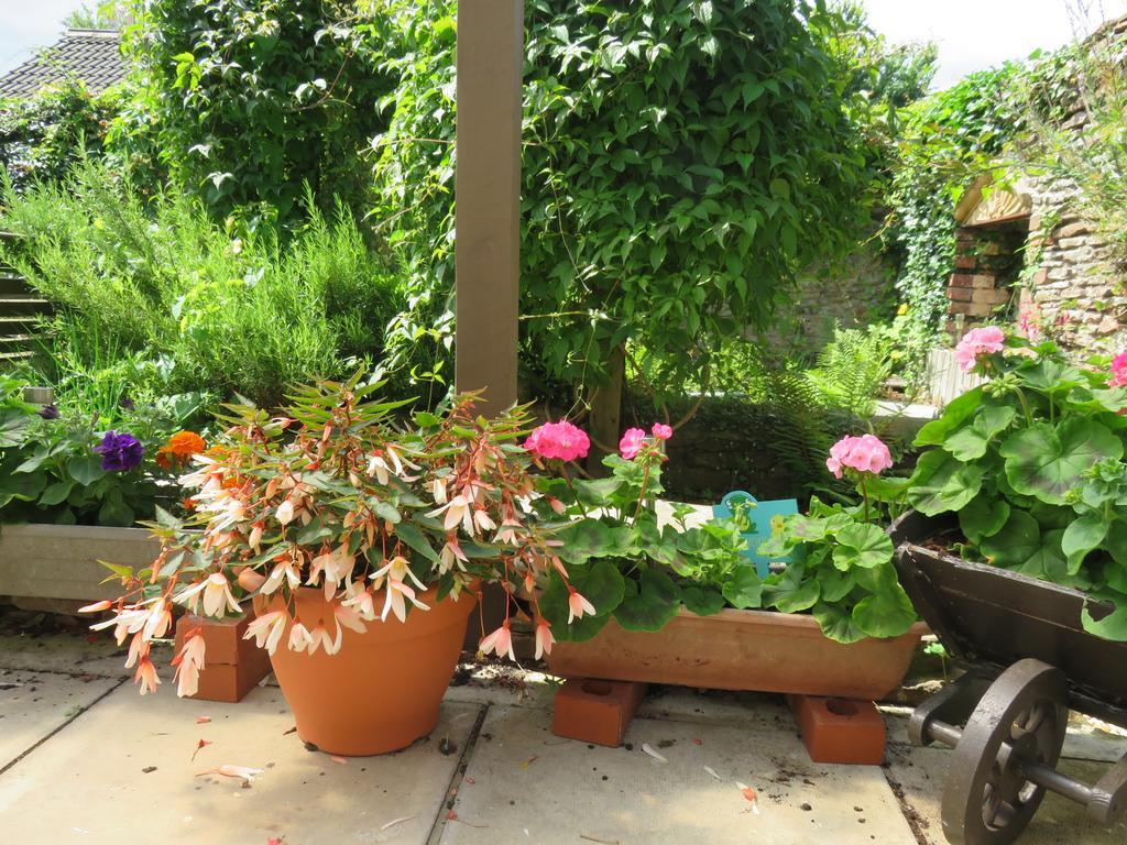 Little Orchard Apartment เยท ภายนอก รูปภาพ